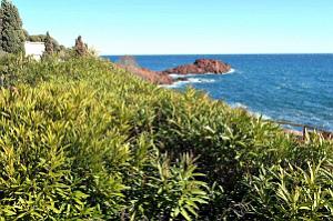 081- Entre Agay et Antheor